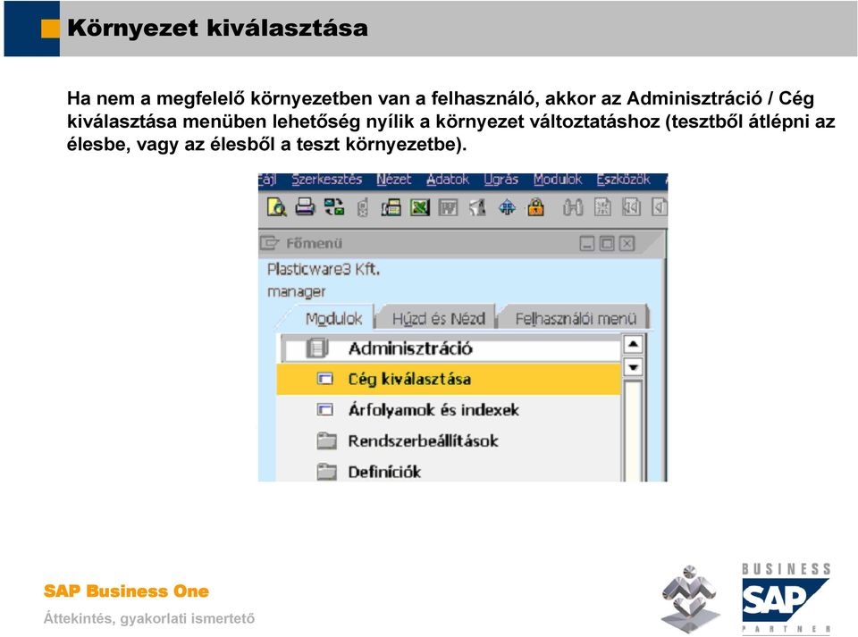 SAP Business One. Alapfunkciók, alapbeállítások. Mosaic Business System  Kft.; Support: - PDF Ingyenes letöltés