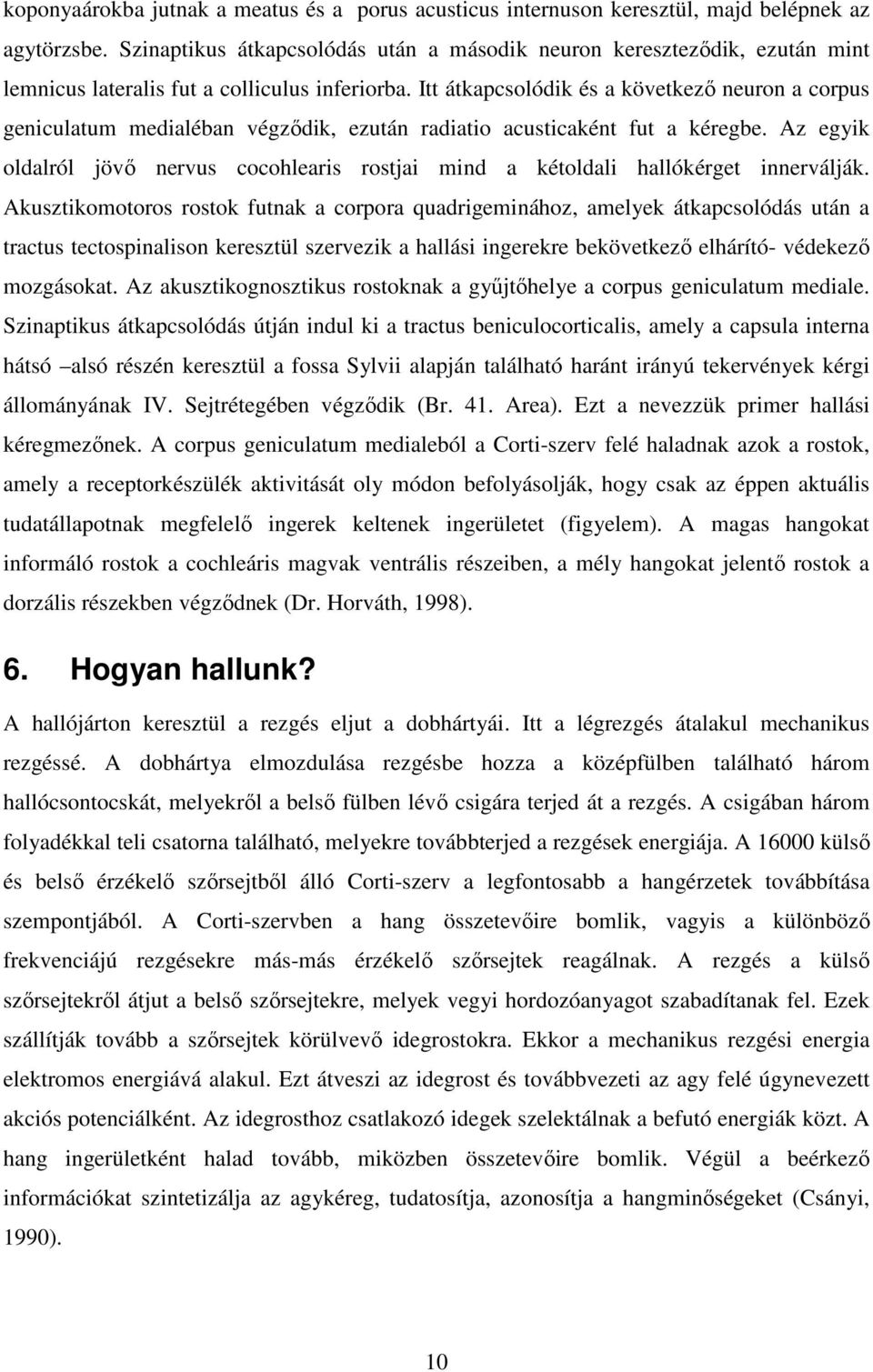 Itt átkapcsolódik és a következő neuron a corpus geniculatum medialéban végződik, ezután radiatio acusticaként fut a kéregbe.