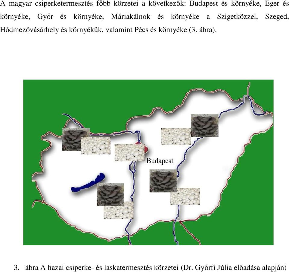 Szeged, Hódmezővásárhely és környékük, valamint Pécs és környéke (3. ábra). 3.