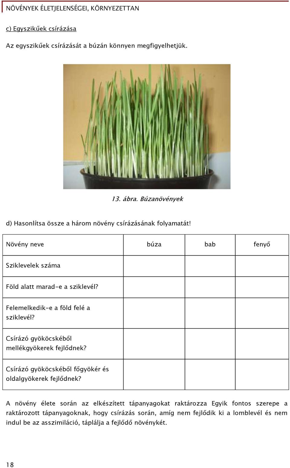 Növények életjelenségei, környezettan - PDF Free Download