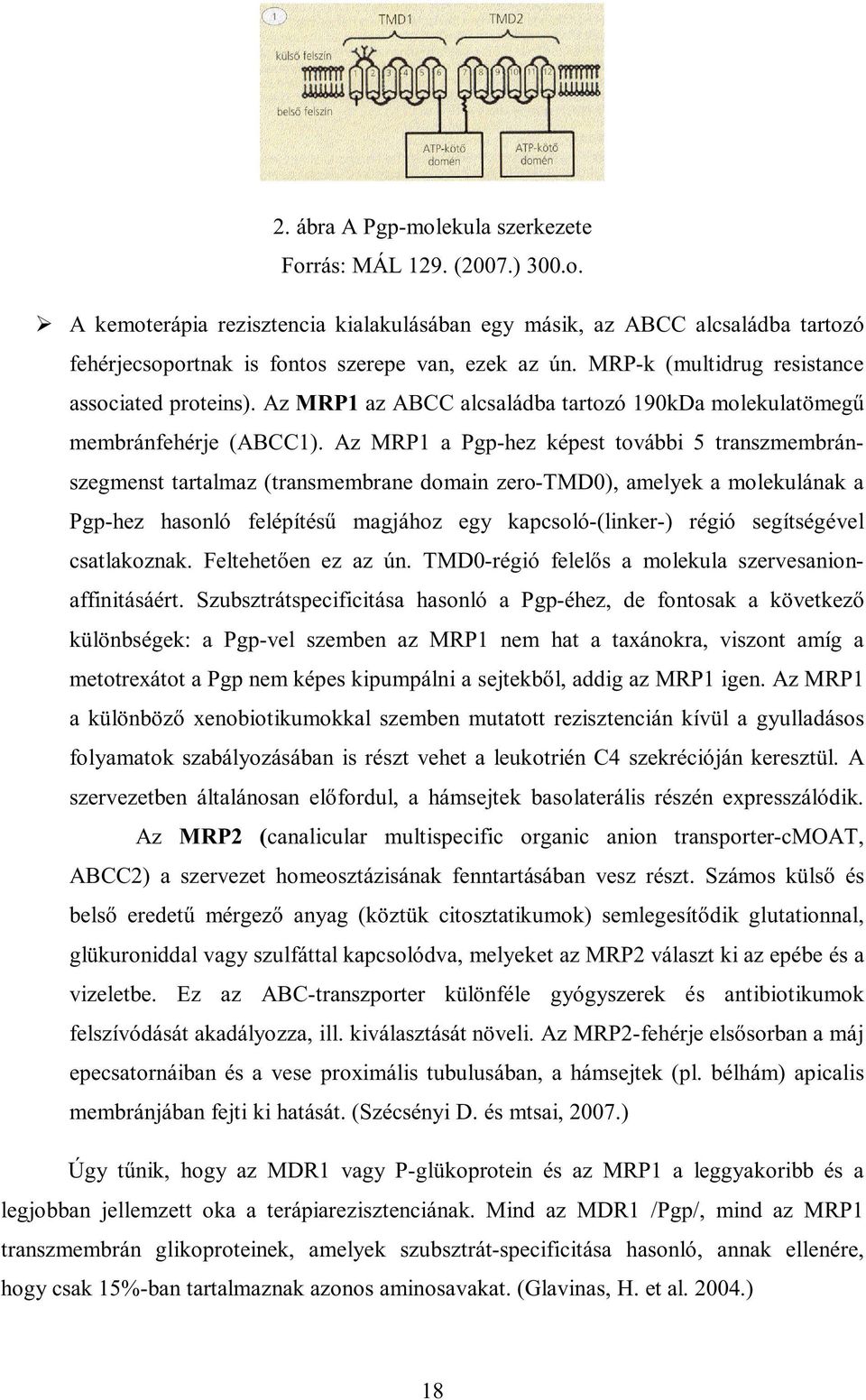 Az MRP1 a Pgp-hez képest további 5 transzmembránszegmenst tartalmaz (transmembrane domain zero-tmd0), amelyek a molekulának a Pgp-hez hasonló felépítésű magjához egy kapcsoló-(linker-) régió