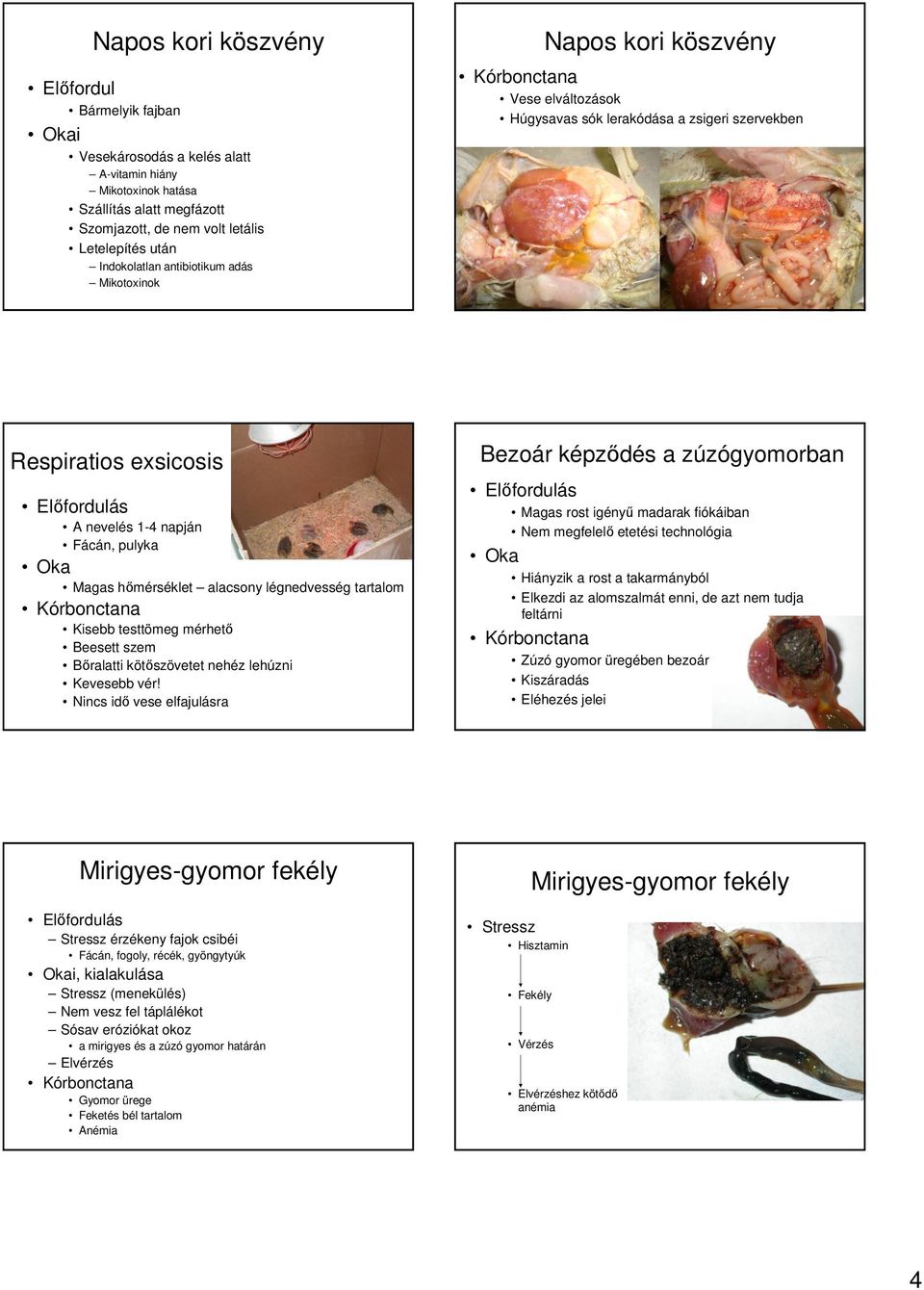 légnedvesség tartalom Kisebb testtömeg mérhetı Beesett szem Bıralatti kötıszövetet nehéz lehúzni Kevesebb vér!