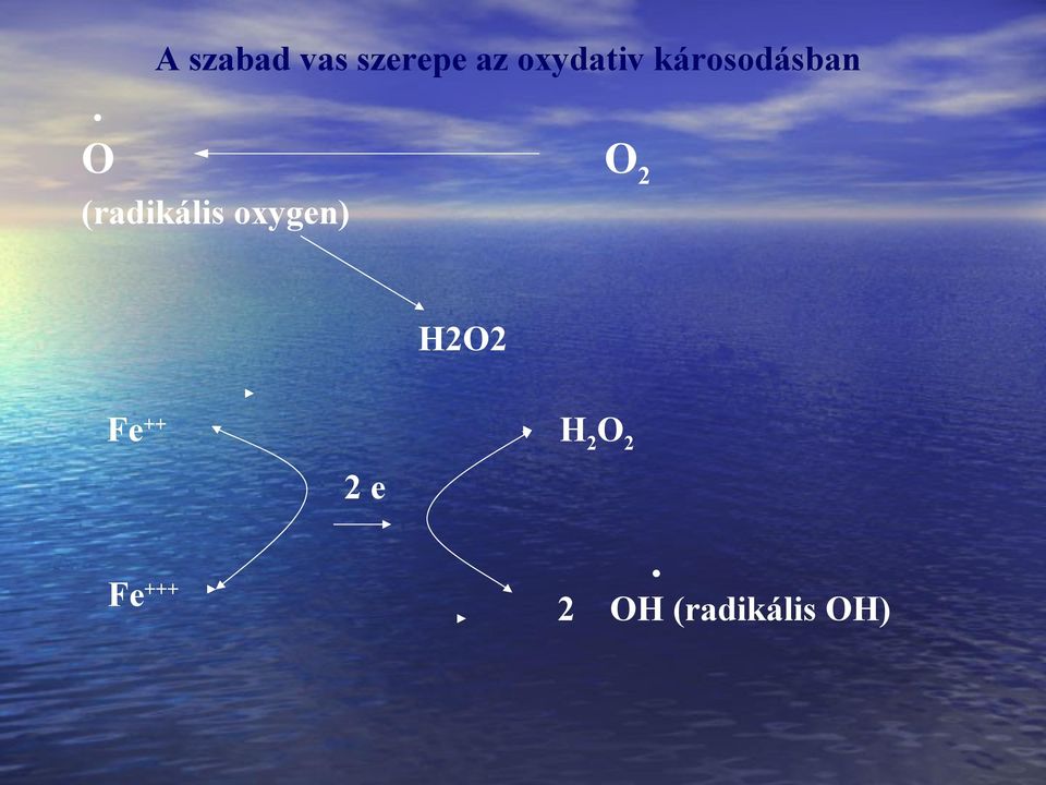 O O2 (radikális oxygen) H2O2