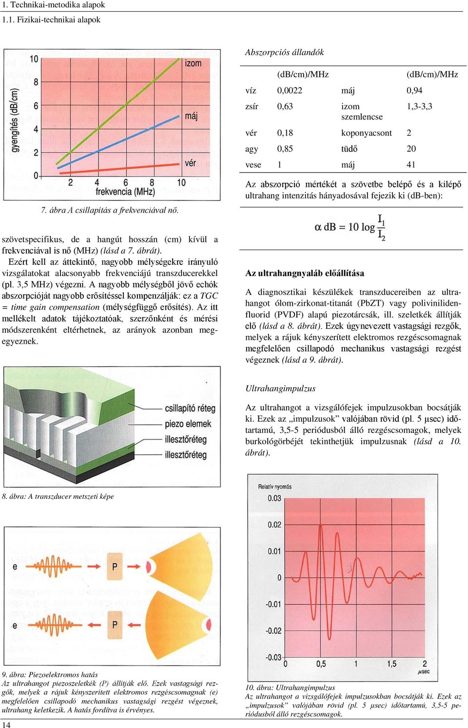 Az abszorpció mértékét a szövetbe belépő és a kilépő ultrahang intenzitás hányadosával fejezik ki (db-ben): szövetspecifikus, de a hangút hosszán (cm) kívül a frekvenciával is nő (MHz) (lásd a 7.