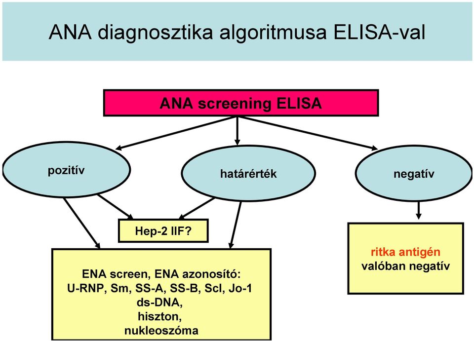 ENA screen, ENA azonosító: U-RNP, Sm, SS-A, SS-B,