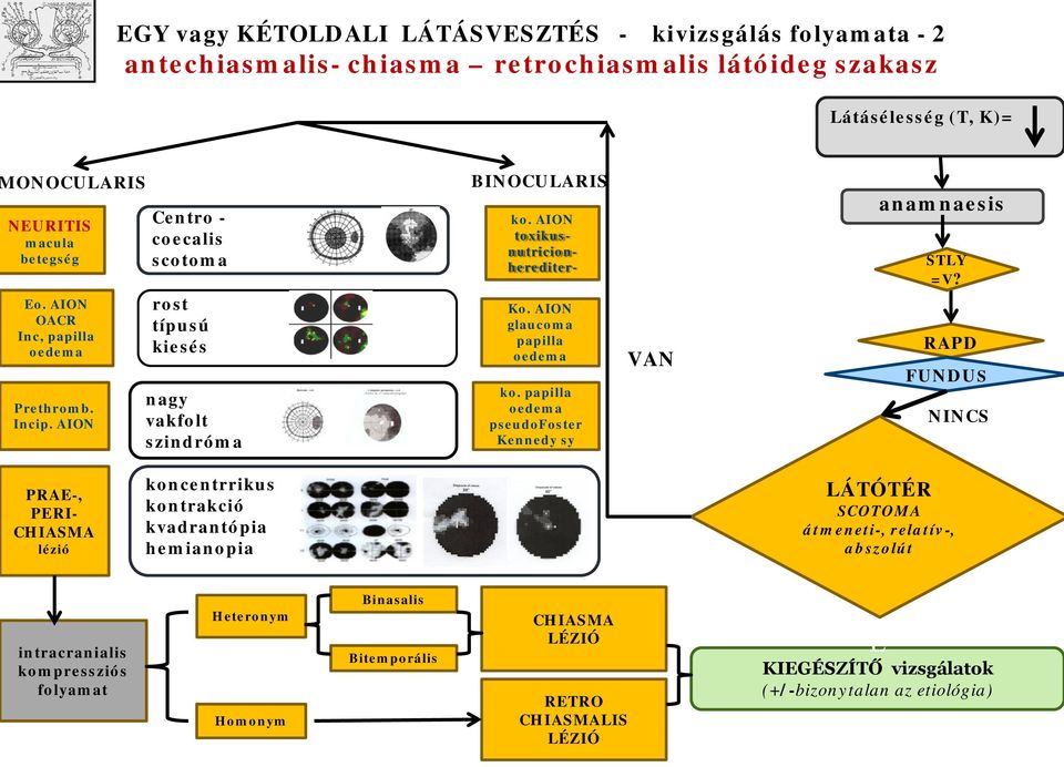 AION glaucma papilla edema k. papilla edema pseudfster Kennedy sy VAN anamnaesis STLY =V?