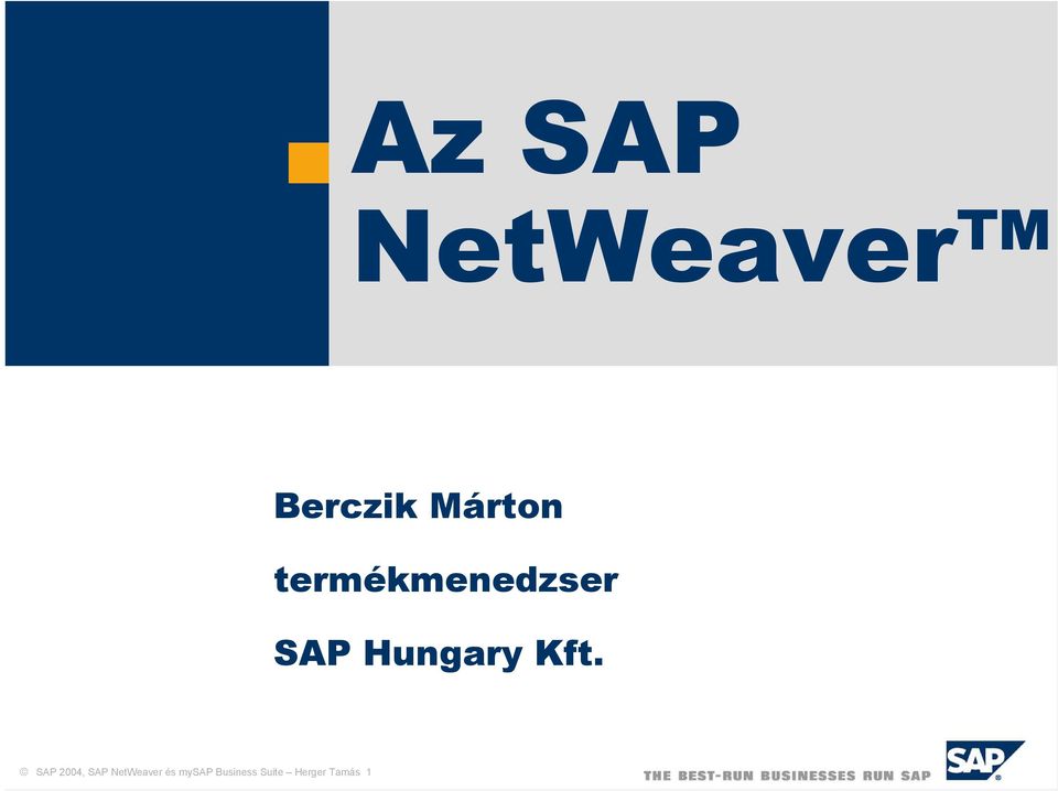SAP 2004, SAP NetWeaver és