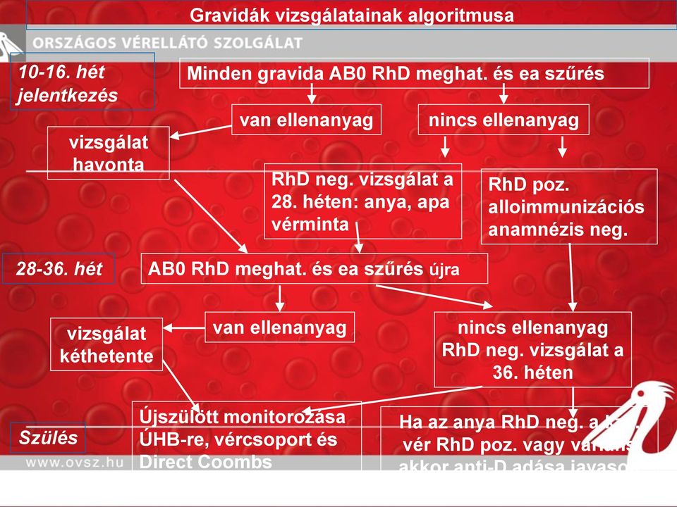 alloimmunizációs anamnézis neg. 28-36. hét AB0 RhD meghat.