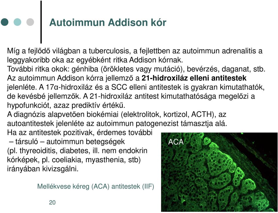 A 17α-hidroxiláz és a SCC elleni antitestek is gyakran kimutathatók, de kevésbé jellemzők. A 21-hidroxiláz antitest kimutathatósága megelőzi a hypofunkciót, azaz prediktív értékű.