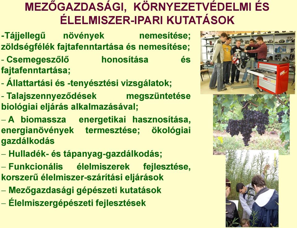 alkalmazásával; A biomassza energetikai hasznosítása, energianövények termesztése; ökológiai gazdálkodás Hulladék- és tápanyag-gazdálkodás;