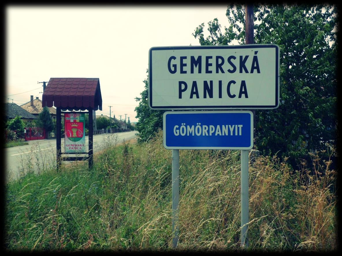 ISTÓK BÉLA SELYE JÁNOS EGYETEM,