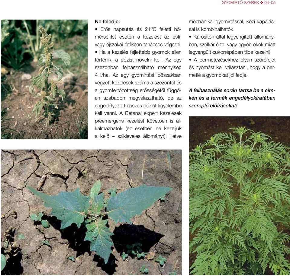 Az egy gyomirtási időszakban végzett kezelések száma a szezontól és a gyom fertőzöttség erősségétől függően szabadon megválasztható, de az engedélyezett összes dózist figyelembe kell venni.