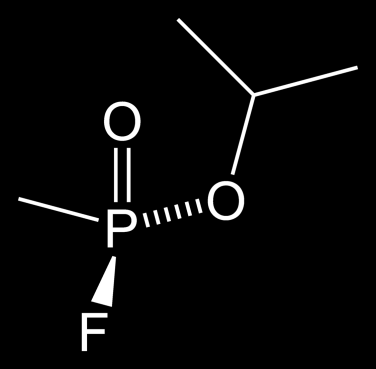 AChR are the target of many naturally occurring poisons such as, e.g., nicotine, which leads to the production of adrenaline, or snake and spider venoms that paralyze the muscles.