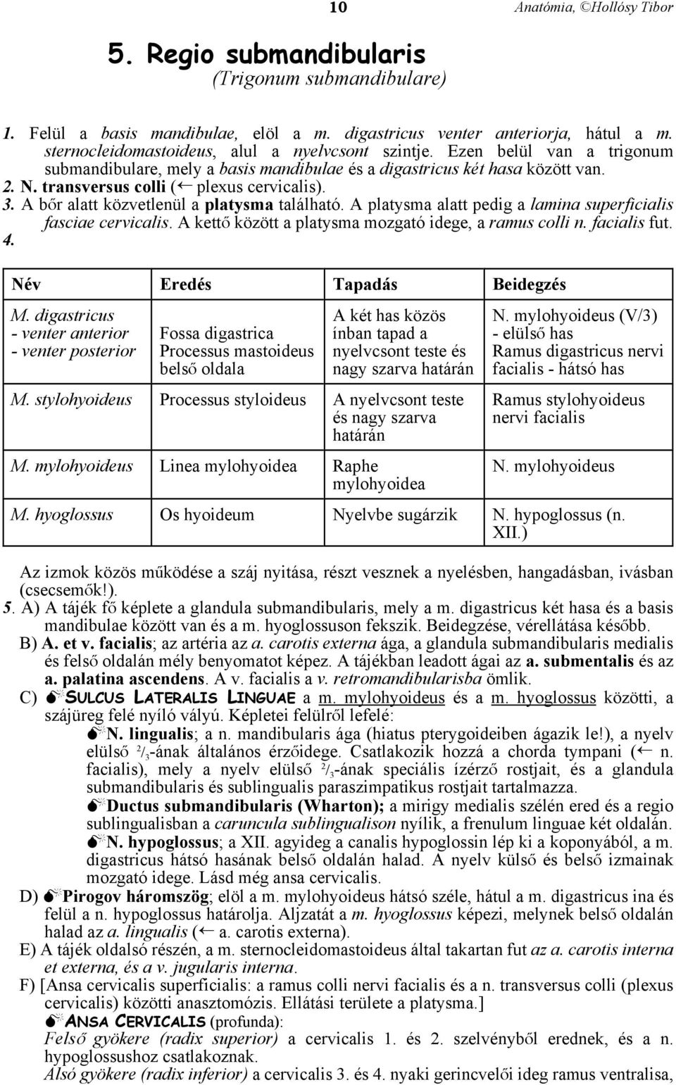 A platysma alatt pedig a lamina superficialis fasciae cervicalis. A kettå között a platysma mozgató idege, a ramus colli n. facialis fut. 4. Név Eredés Tapadás Beidegzés M.