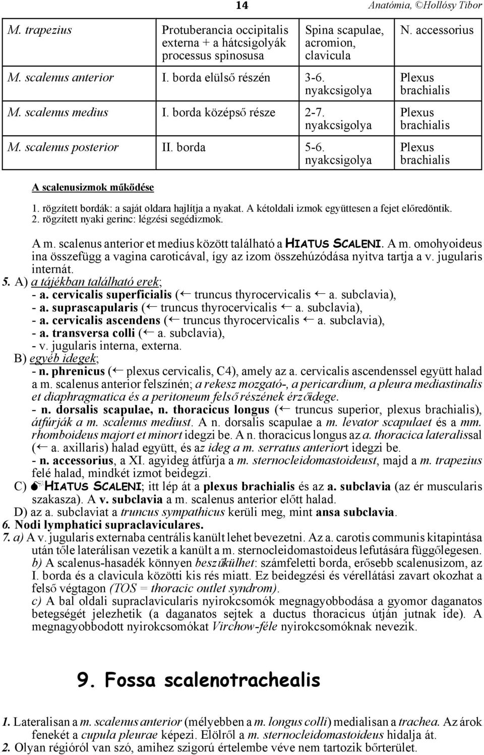 accessorius Plexus brachialis Plexus brachialis Plexus brachialis A scalenusizmok máködése 1. rögzített bordák: a saját oldara hajlítja a nyakat. A kétoldali izmok együttesen a fejet elåredöntik. 2.
