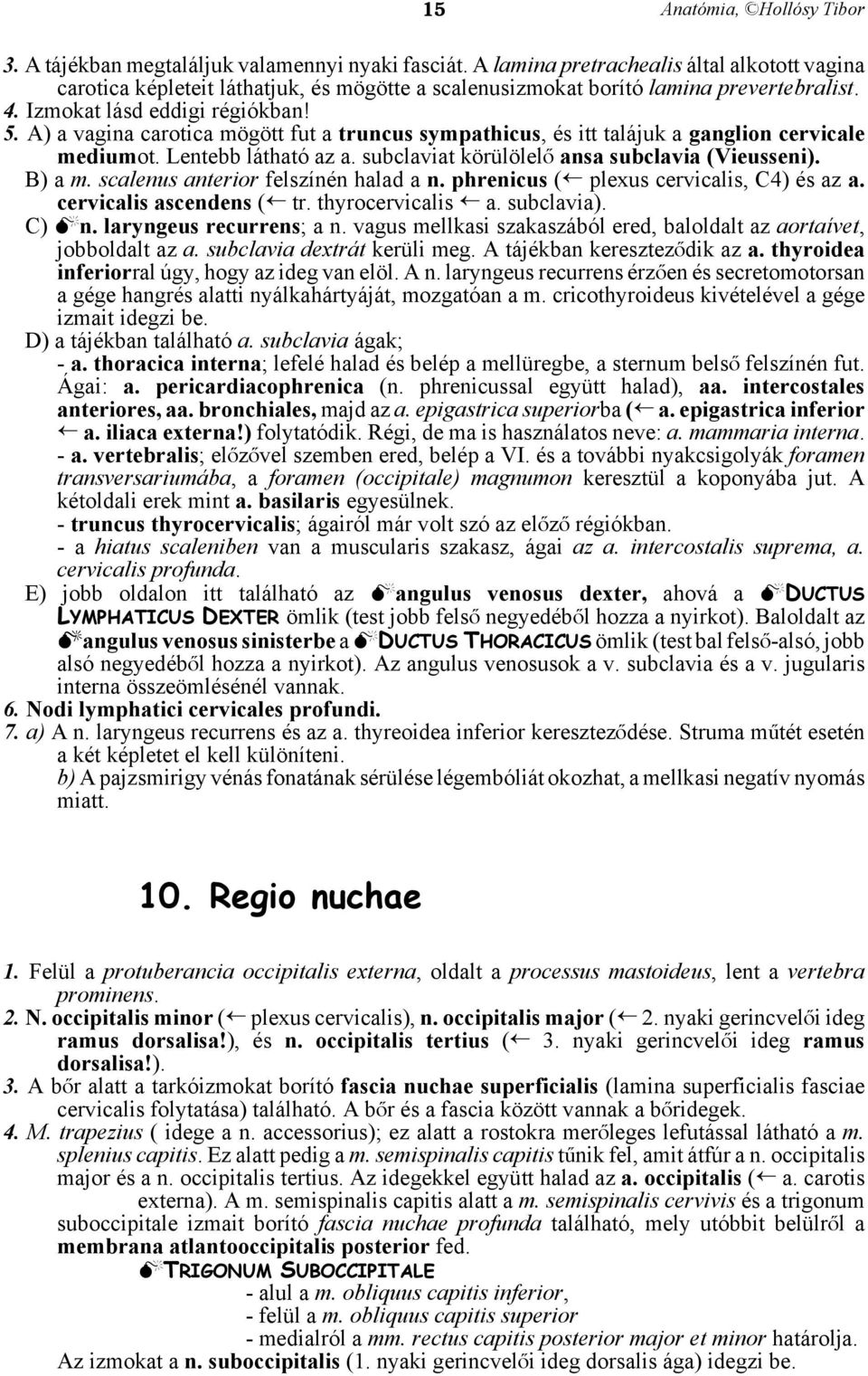 subclaviat körülölelå ansa subclavia (Vieusseni). B) a m. scalenus anterior felszínén halad a n. phrenicus (² plexus cervicalis, C4) és az a. cervicalis ascendens (² tr. thyrocervicalis ² a.