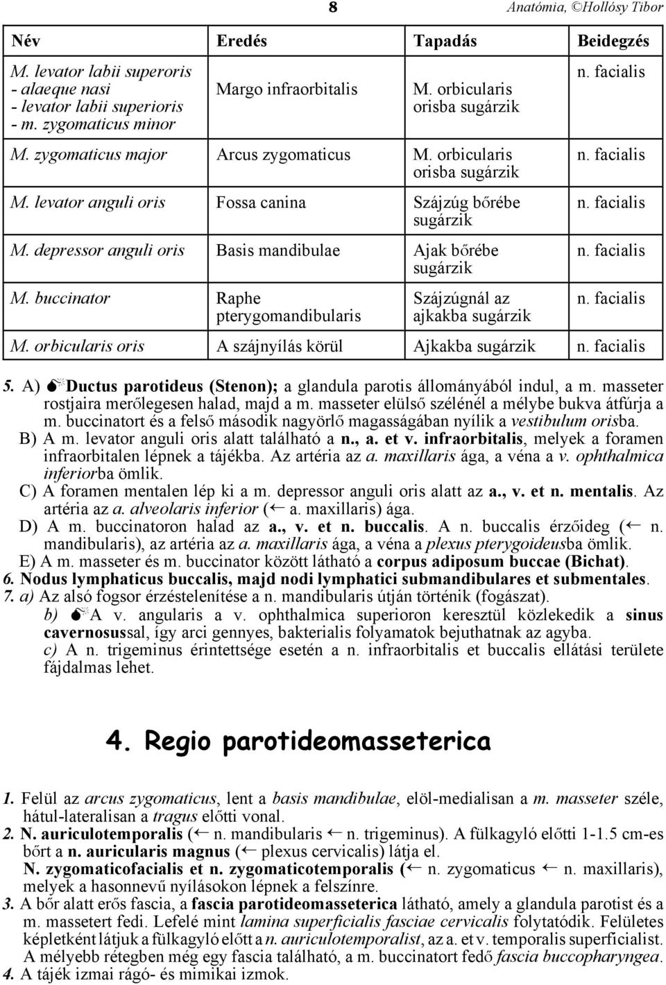buccinator Raphe pterygomandibularis Szájzúgnál az ajkakba sugárzik n. facialis n. facialis n. facialis n. facialis n. facialis M. orbicularis oris A szájnyílás körül Ajkakba sugárzik n. facialis 5.
