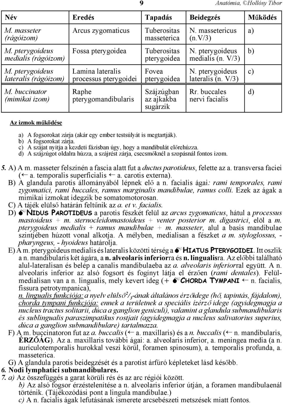 pterygoidea Szájzúgban az ajkakba sugárzik N. massetericus (n.v/3) N. pterygoideus medialis (n. V/3) N. pterygoideus lateralis (n. V/3) Rr.