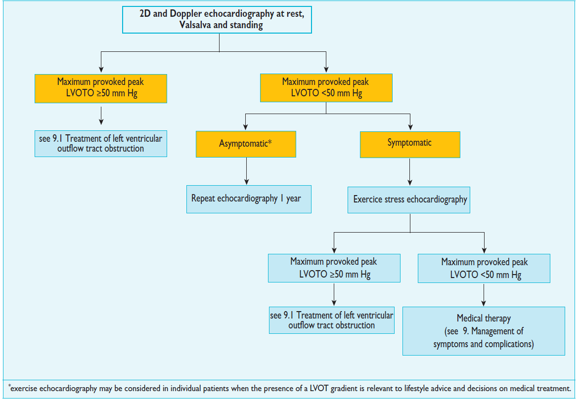 LVOTO kivizsgálási algoritmus 2014 ESC Guidelines on diagnosis and management of hypertrophic cardiomyopathy: the Task Force for the