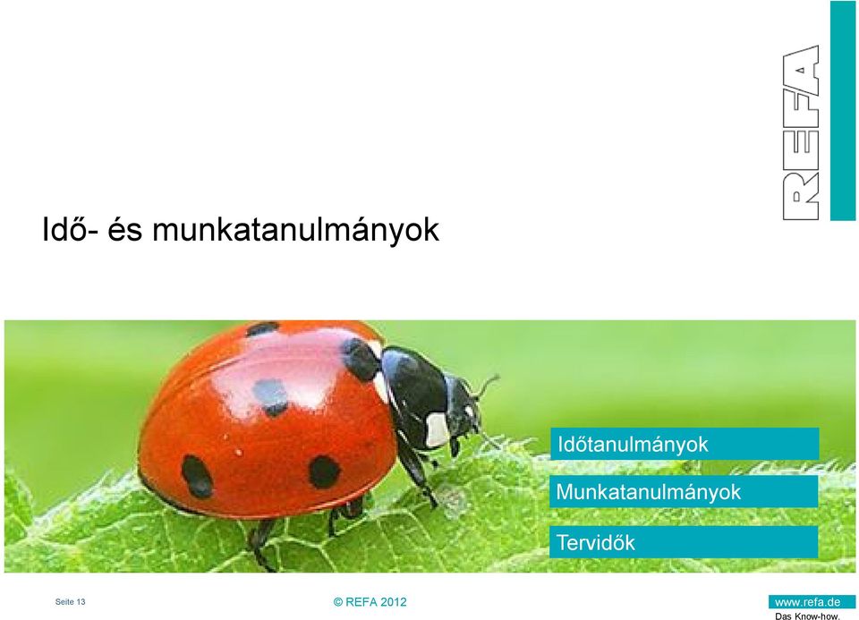 Időtanulmányok