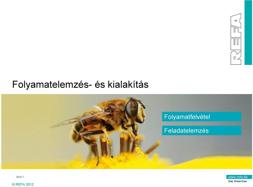 Folyamatfelvétel