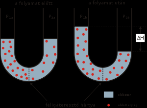 - a vízben oldott sók, a fagyáspontot csökkentik. (Na, K, Ca, Mg, illetve a HCO 3, CO 3 és a SO 4 ) A víz sűrűsége 4 C - on a legnagyobb.