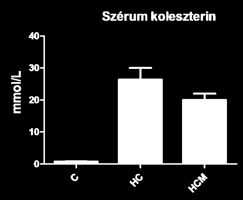 Eredmények és következtetések I.