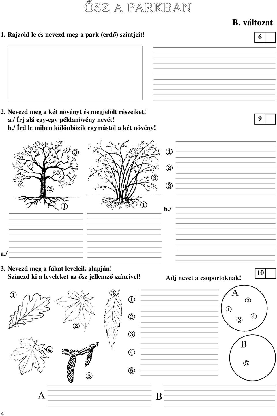 b./ Írd le miben különbözik egymástól a két növény! b./ a./. Nevezd meg a fákat leveleik alapján!