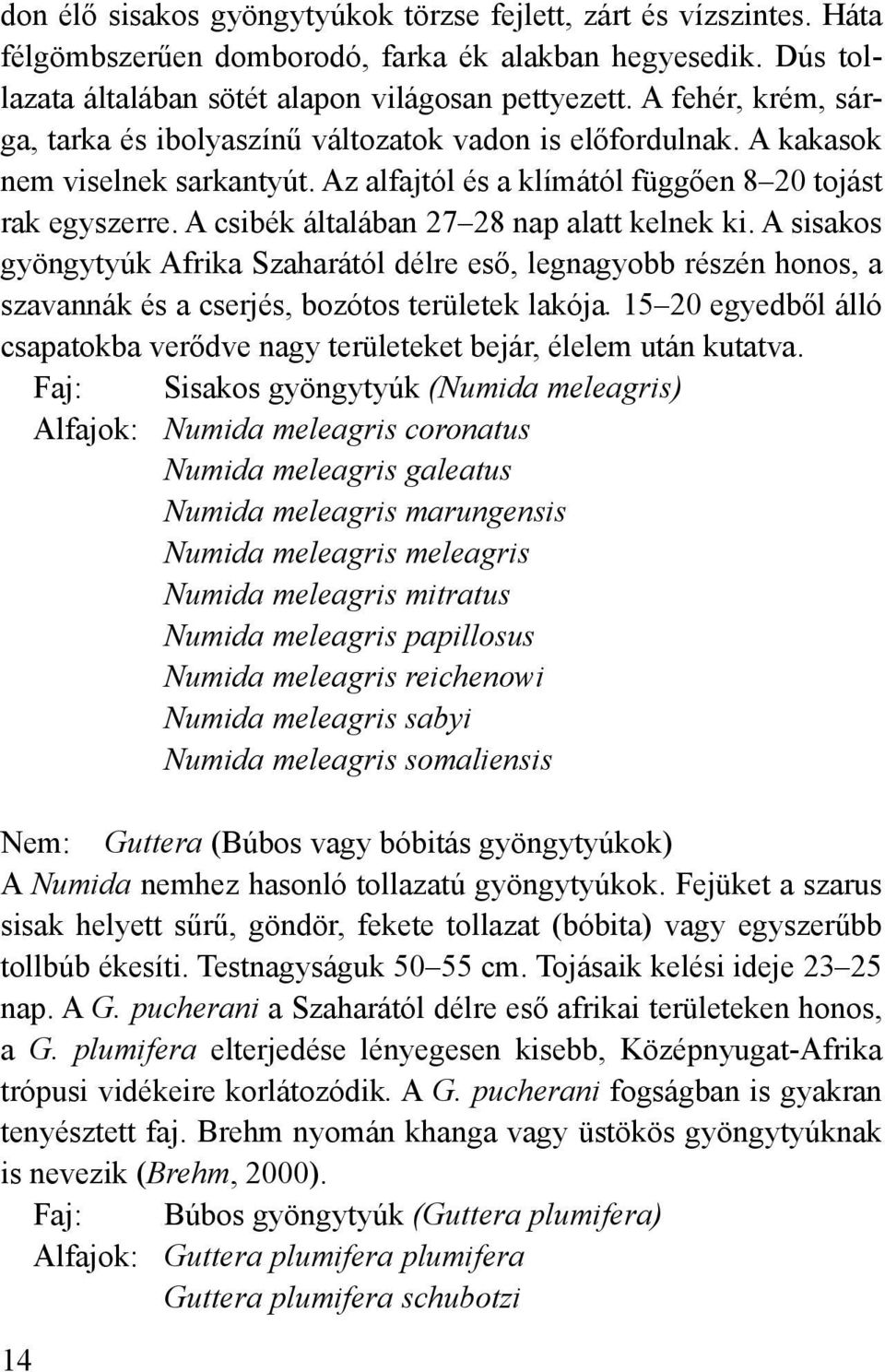 A csibék általában 27 28 nap alatt kelnek ki. A sisakos gyöngytyúk Afrika Szaharától délre eső, legnagyobb részén honos, a szavannák és a cserjés, bozótos területek lakója.