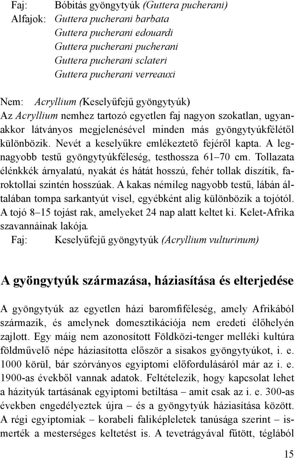 Nevét a keselyűkre emlékeztető fejéről kapta. A legnagyobb testű gyöngytyúkféleség, testhossza 61 70 cm.