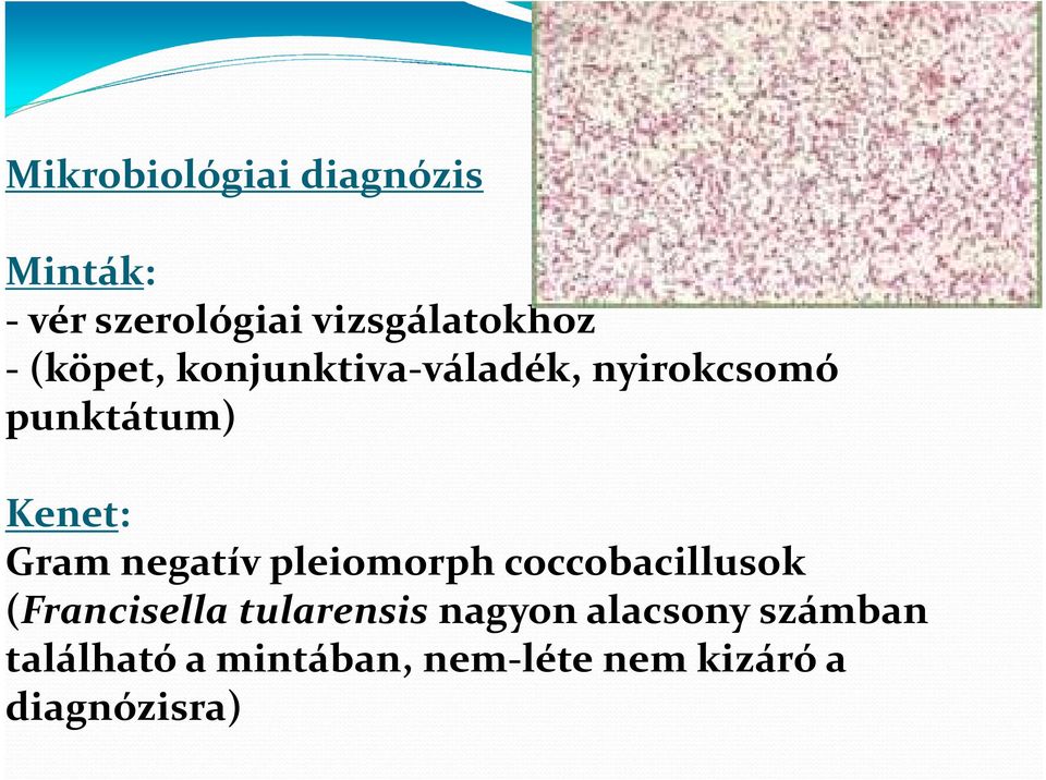 negatív pleiomorph coccobacillusok (Francisella tularensis nagyon