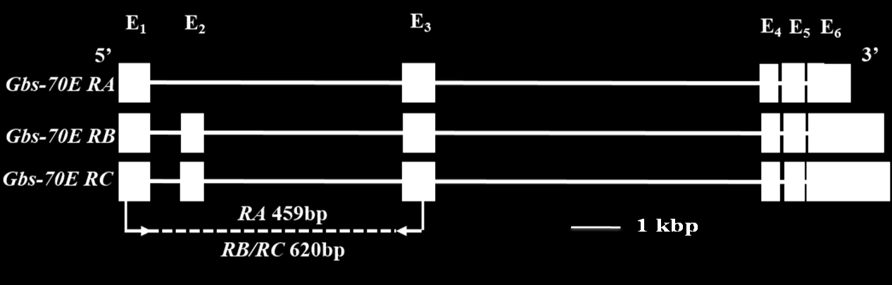 6. Eredmények 6.