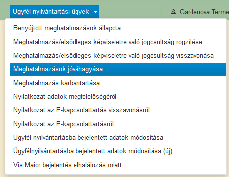 Kamarai meghatalmazás esetében is azonnal be lehet lépni az ügyfélkapus beadás után a kérelembe, de a kamarai meghatalmazás bizonylatát ki kell nyomtatni, és nyolc napon belül eljuttatni az MVHhoz.