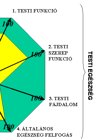 ÉLETMINŐSÉG VIZSGÁLATA: SF36 KÉRDŐÍV SKÁLÁI TESTI FUNKCIÓ 3.a. Megerőltető fizikai tevékenység (pl. futás, nehéz tárgyak emelése, sportok) 3.b. Közepesen megterhelő tevékenység (pl.
