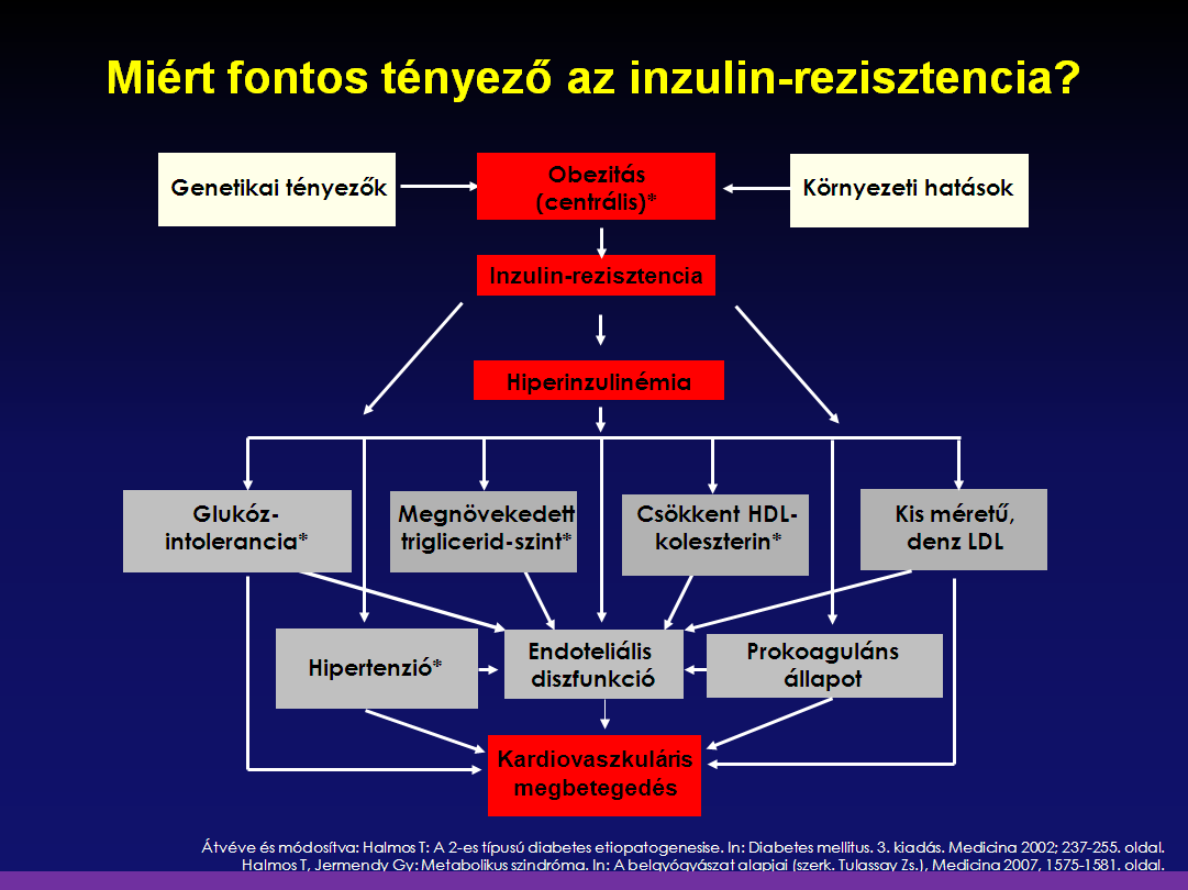 Inzulinrezisztencia vizsgálat, kezelés, étrend - Endokrinközpont