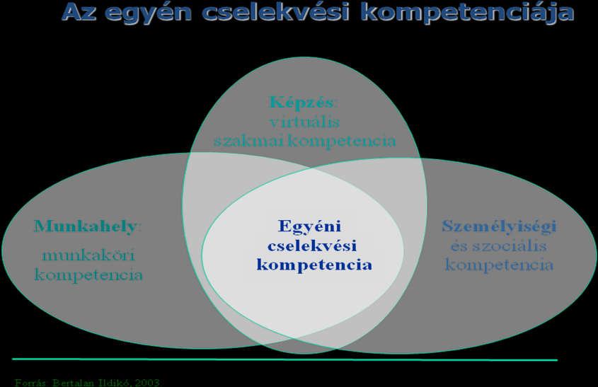 Túlzott személyeskedés, a tapadás kerülése Feltétel nélküli elfogadás Stigmatizáció kerülése Kongruencia Képesség: A magába foglalja bármely, az alkalmazottól elvárt szellemi vagy fizikai tevékenység
