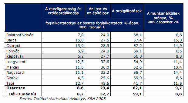 Ezt a központi szerepet támasztja alá a 2005-ös hivatalos statisztikai adatok alapján a helyi gazdasági szerkezet nemzetgazdasági ágak szerinti megosztása, melyből jól látszik hogy a településen a