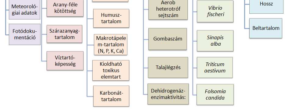 kísérletek SOILUTIL