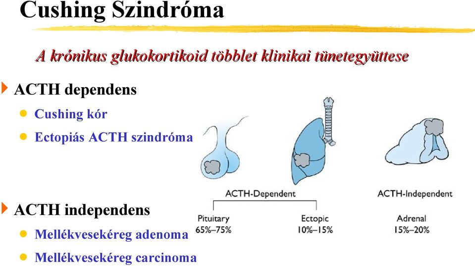 dependens Cushing kór Ectopiás ACTH szindróma ACTH