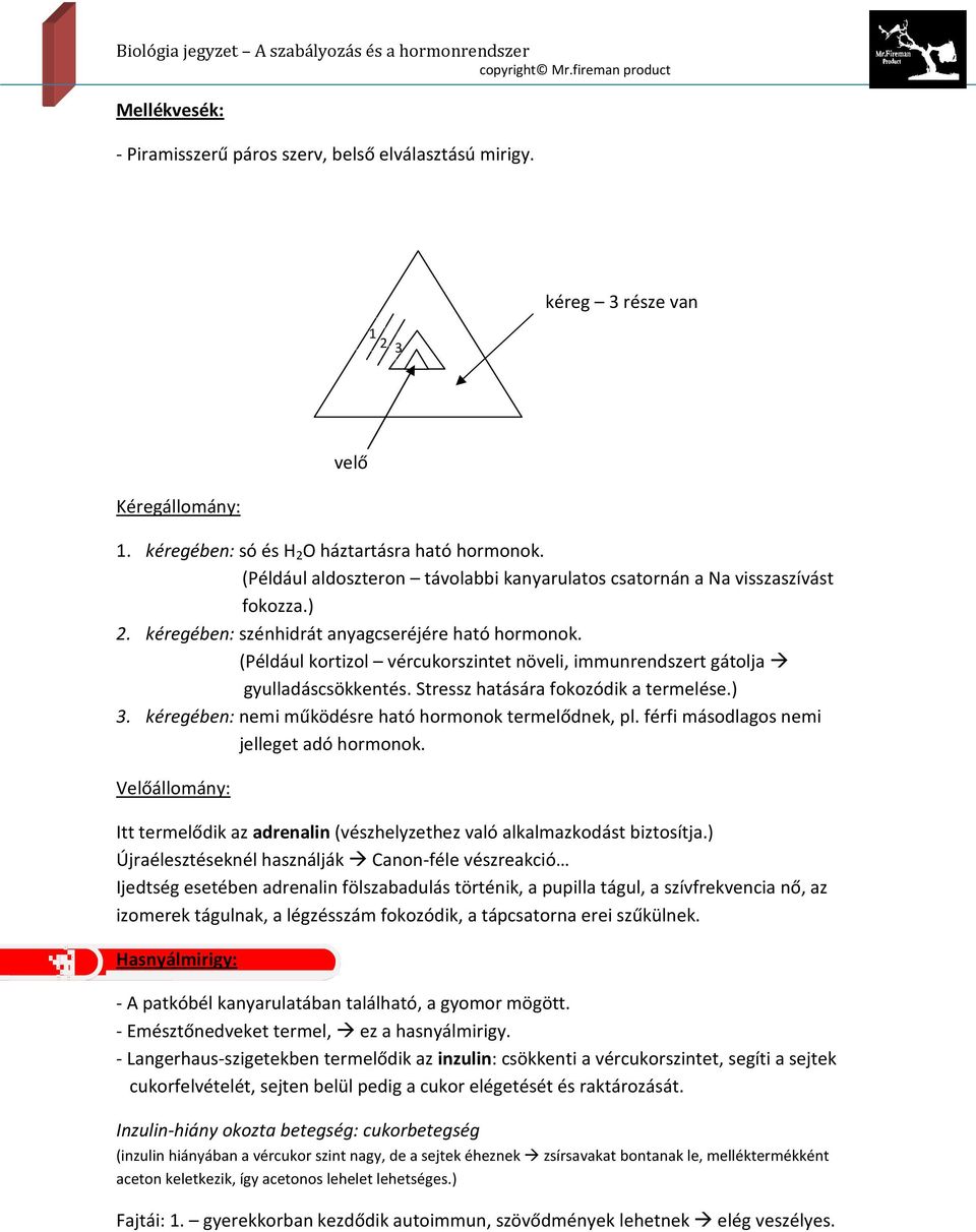 (Például kortizol vércukorszintet növeli, immunrendszert gátolja gyulladáscsökkentés. Stressz hatására fokozódik a termelése.) 3. kéregében: nemi működésre ható hormonok termelődnek, pl.