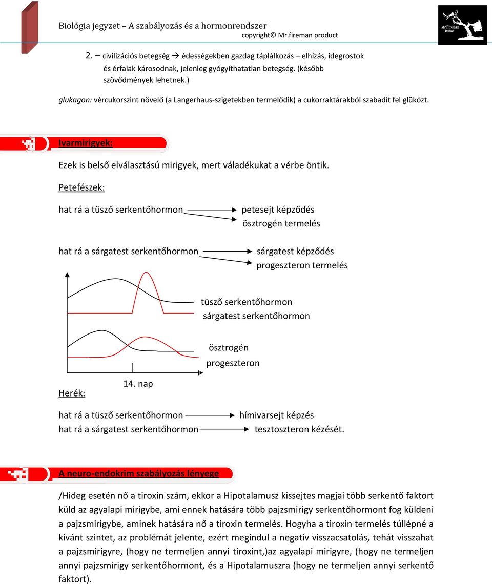 Petefészek: hat rá a tüsző serkentőhormon hat rá a sárgatest serkentőhormon petesejt képződés ösztrogén termelés sárgatest képződés progeszteron termelés tüsző serkentőhormon sárgatest serkentőhormon