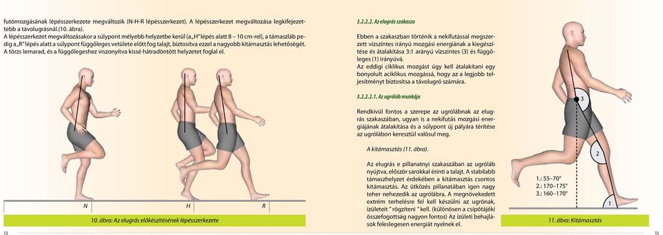 a nagyobb kitámasztás lehetőségét. A törzs lemarad, és a függőlegeshez viszonyítva kissé hátradöntött helyzetet foglal el. 3.2.