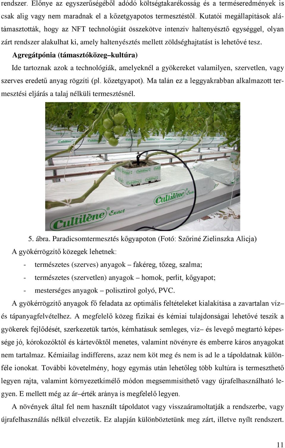 tesz. Agregátpónia (támasztóközeg kultúra) Ide tartoznak azok a technológiák, amelyeknél a gyökereket valamilyen, szervetlen, vagy szerves eredetű anyag rögzíti (pl. kőzetgyapot).