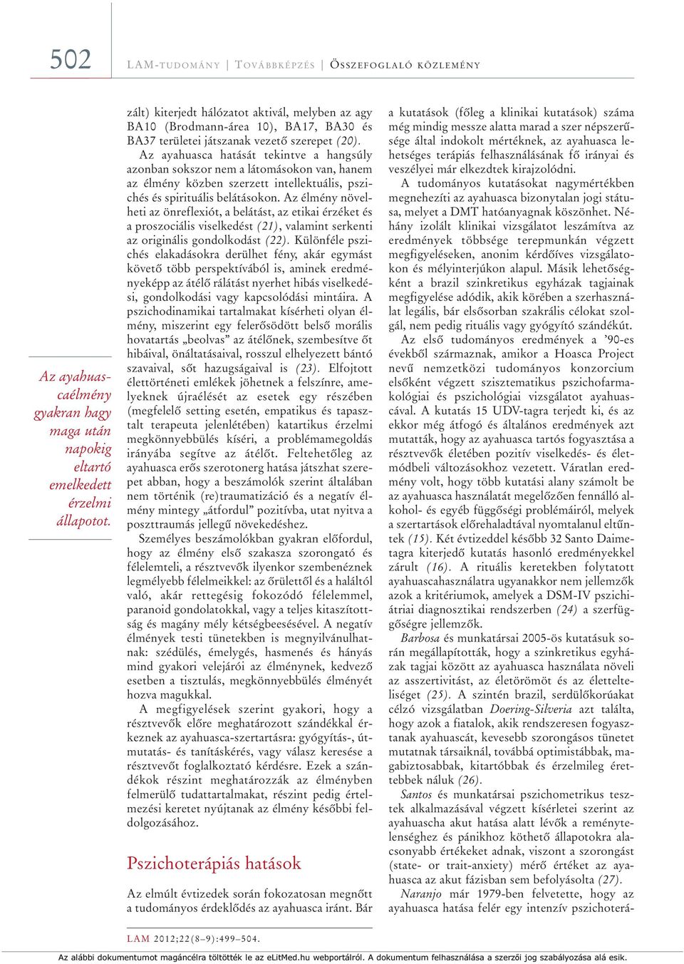 Az ayahuasca hatását tekintve a hangsúly azonban sokszor nem a látomásokon van, hanem az élmény közben szerzett intellektuális, pszichés és spirituális belátásokon.