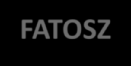 Falusi és Agroturizmus Országos Szövetsége - FATOSZ 1994 óta szakmai, érdekképviseleti tevékenység ellátása 2001 óta 19 megyében tagszervezetek Általános érdekképviselet