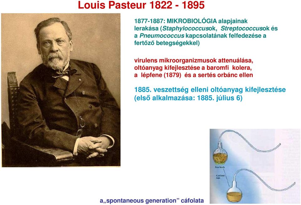 attenuálása, oltóanyag kifejlesztése a baromfi kolera, a lépfene (1879) és a sertés orbánc ellen 1885.