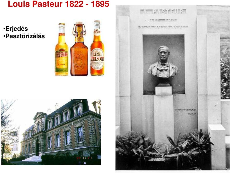 1822-1895