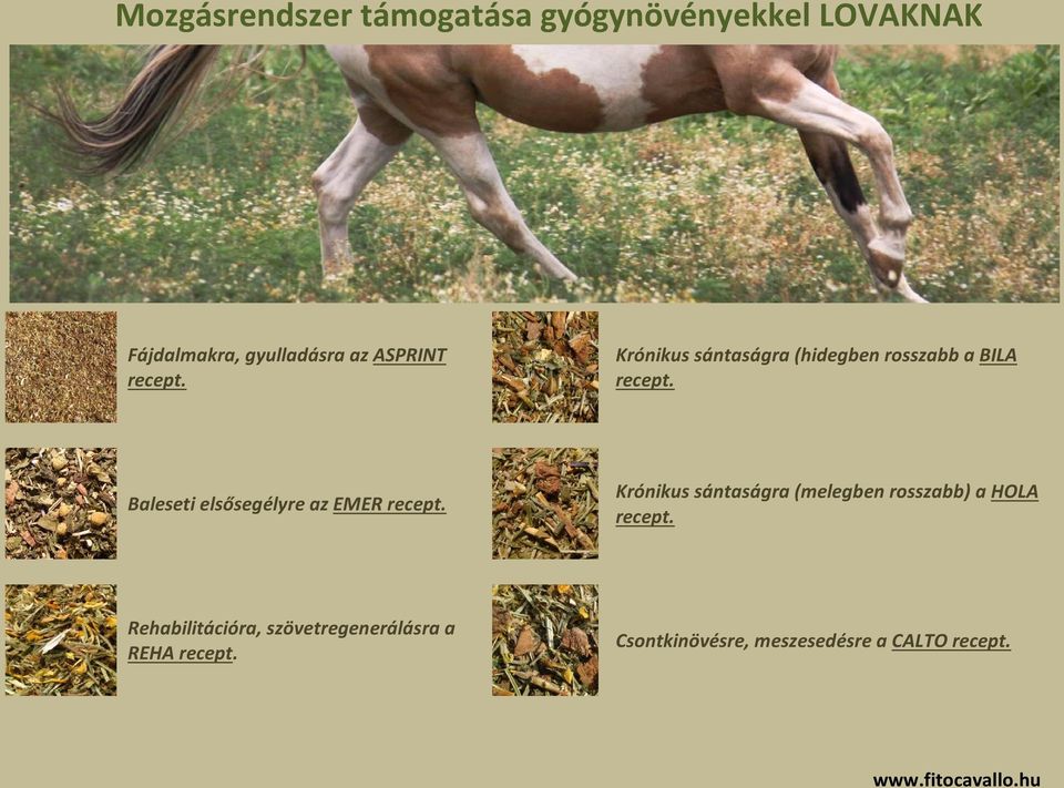 Baleseti elsősegélyre az EMER Krónikus sántaságra (melegben rosszabb) a