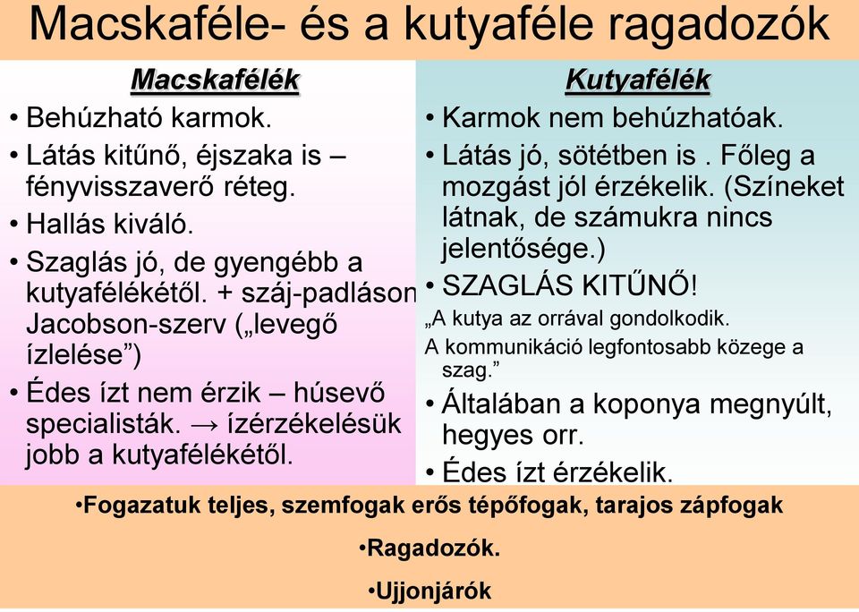 Kutyafélék Karmok nem behúzhatóak. Látás jó, sötétben is. Főleg a mozgást jól érzékelik. (Színeket látnak, de számukra nincs jelentősége.) SZAGLÁS KITŰNŐ!