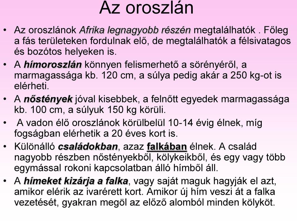 100 cm, a súlyuk 150 kg körüli. A vadon élő oroszlánok körülbelül 10-14 évig élnek, míg fogságban elérhetik a 20 éves kort is. Különálló családokban, azaz falkában élnek.